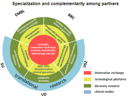 Specialization and complementarity among partners